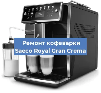 Чистка кофемашины Saeco Royal Gran Crema от кофейных масел в Волгограде